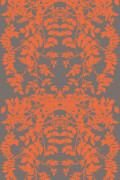 Colour Orange on Dark Grey