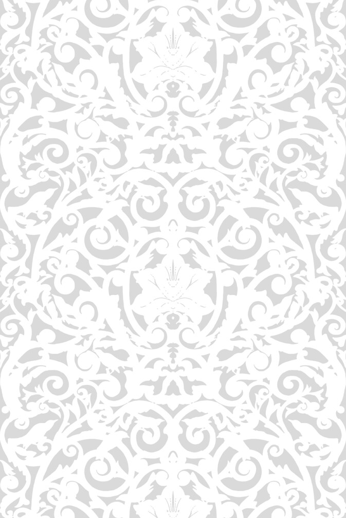 Birdcage Superwide Wallpaper / image 1