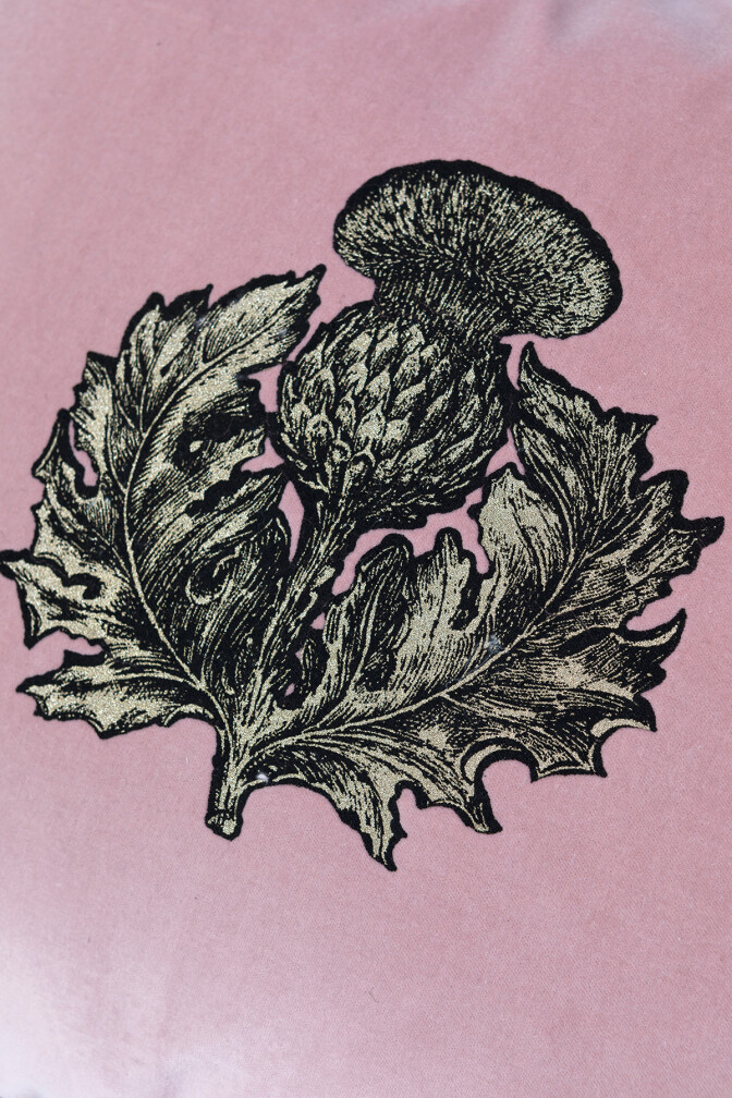 Small Thistle Velvet Cushion / image 4