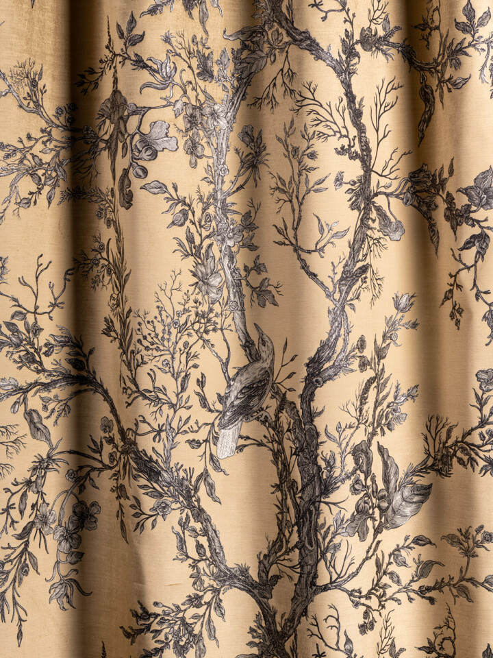 Golden Oriole Velvet Fabric / image 4