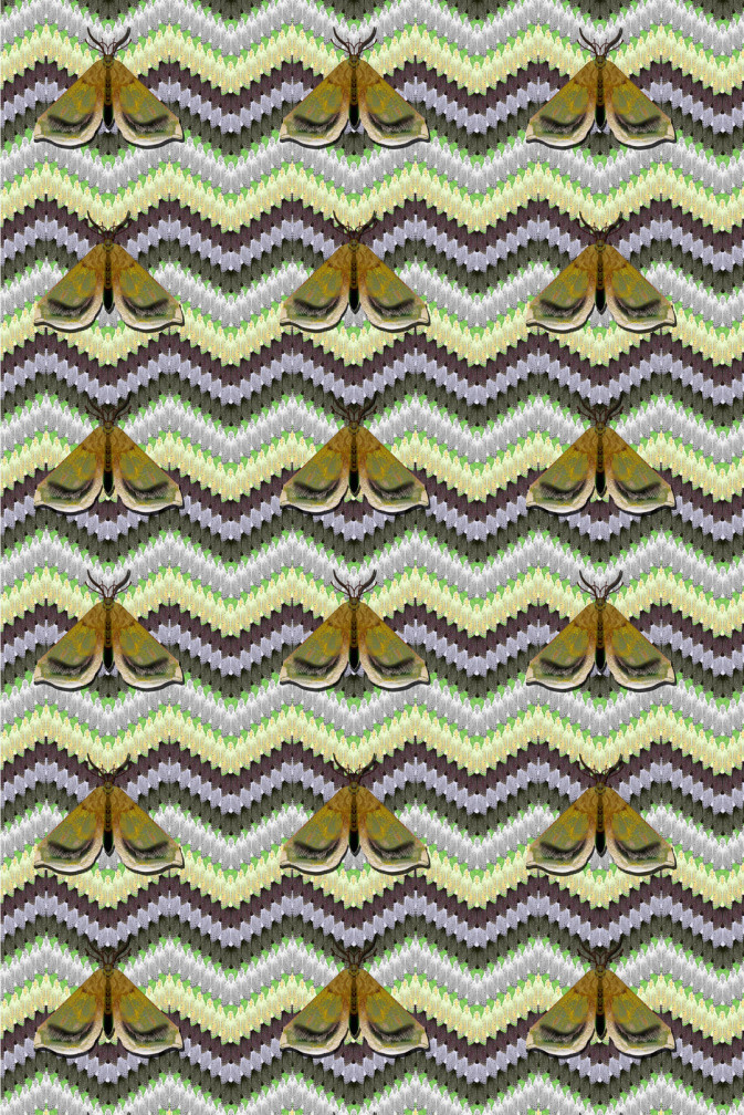 Bell Moth Fabric / image 1