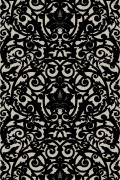 Colour Black