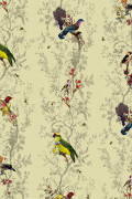 Colour Antique