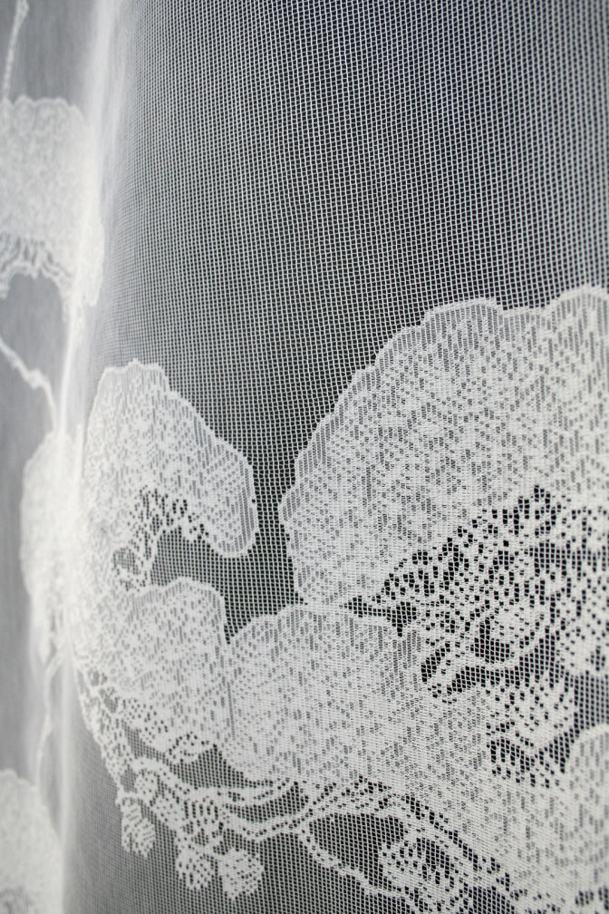 Bonsai Lace / image 4