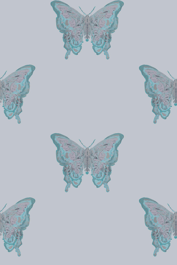 Butterfly Wallpaper / image 1