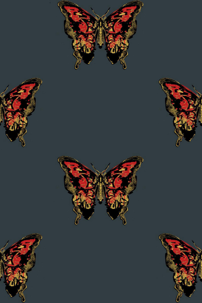 Butterfly Wallpaper / image 1
