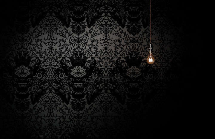 Devil Damask Flock Wallpaper / image 3