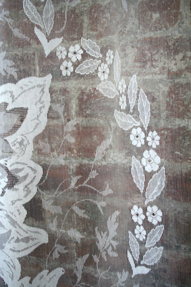 Devil Damask Lace / image 3