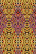 Colour Wine on Old Gold