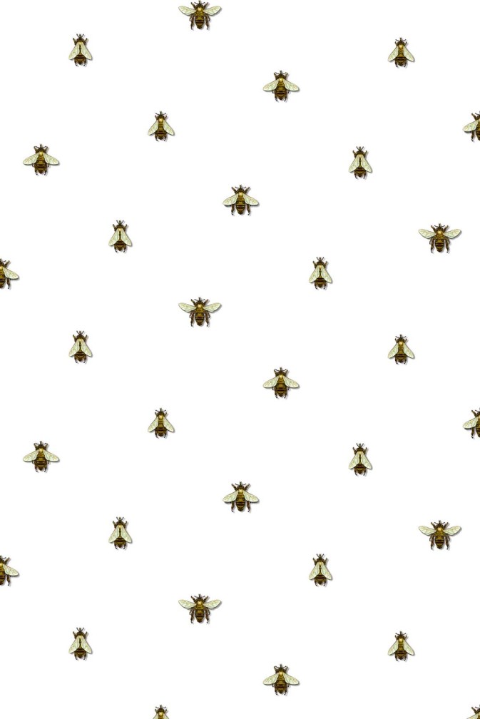 Wild Honey Bee Spot Wallpaper / image 1