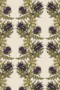 Colour Gold & Purple on Cream