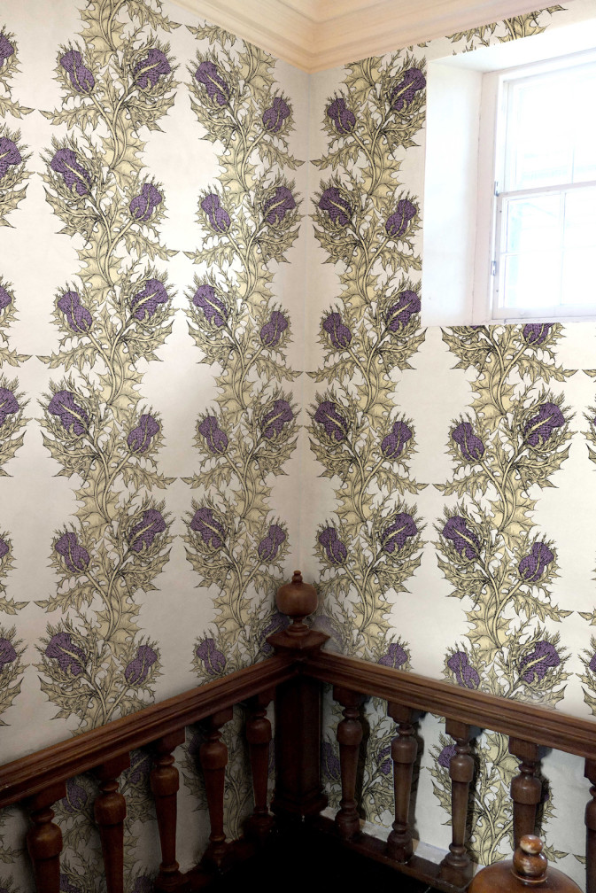 Grand Thistle Wallpaper / image 2