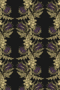 Colour Gold & Purple on Black