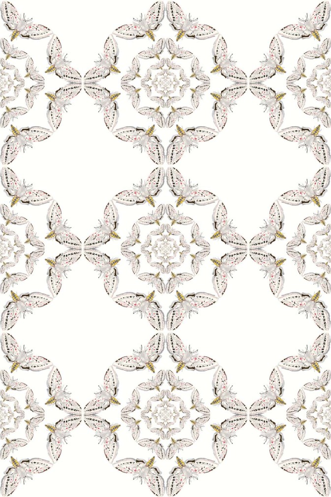 White Moth Circle Wallpaper / image 1