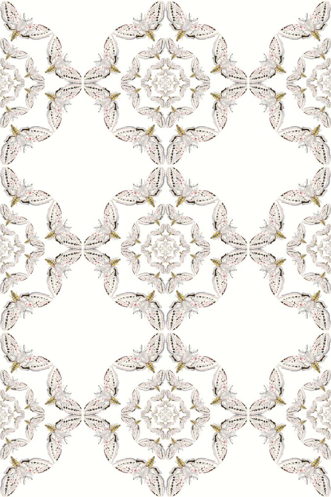 White Moth Circle Wallpaper / image 1