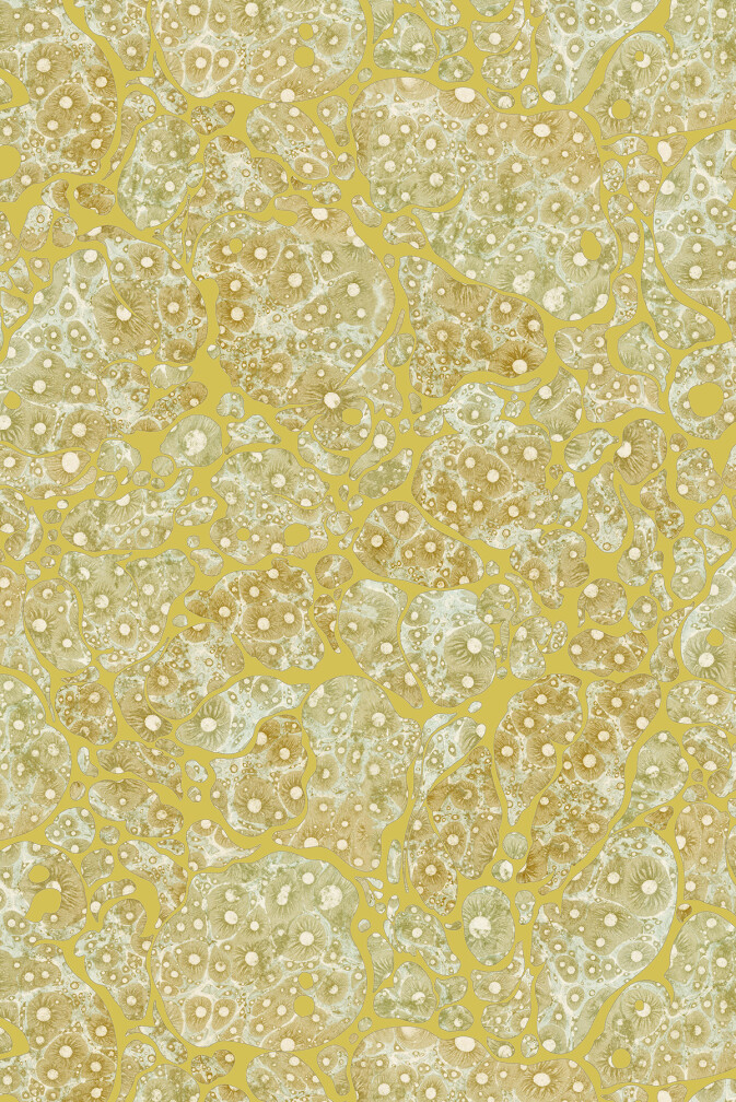 Moonrock Cork Wallpaper