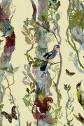 Colour Antique