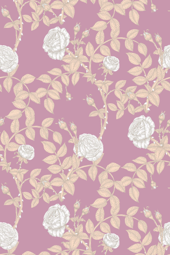 McGegan Rose Disco Wallpaper / image 1