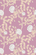 Colour Neutrals on Pale Pink