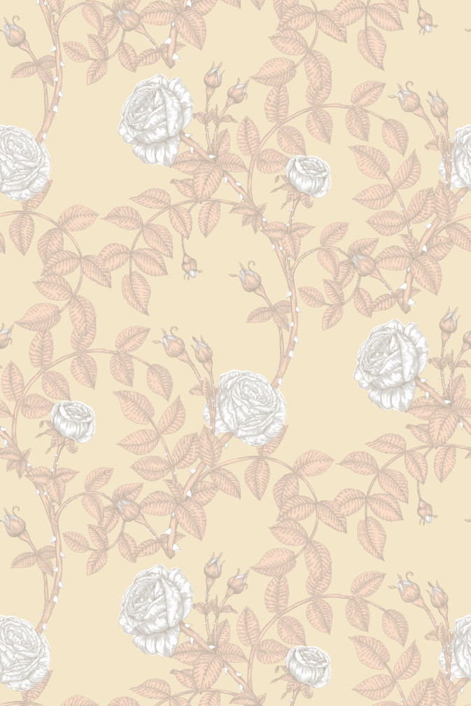 McGegan Rose Disco Wallpaper / image 1