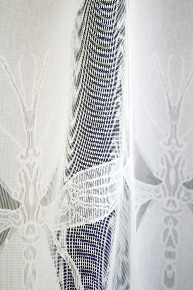 Large Mosquito Lace / image 3