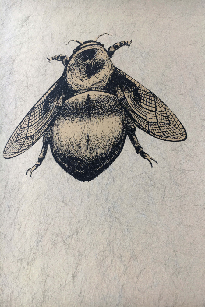 Napoleon Bee Wallpaper / image 4