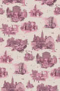 Colour Pinks