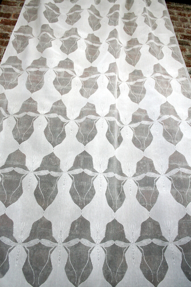 Small Mosquito Lace / image 2