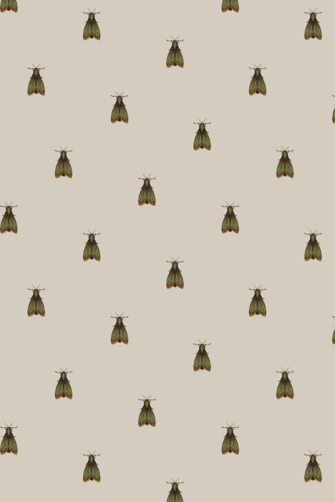 Medium