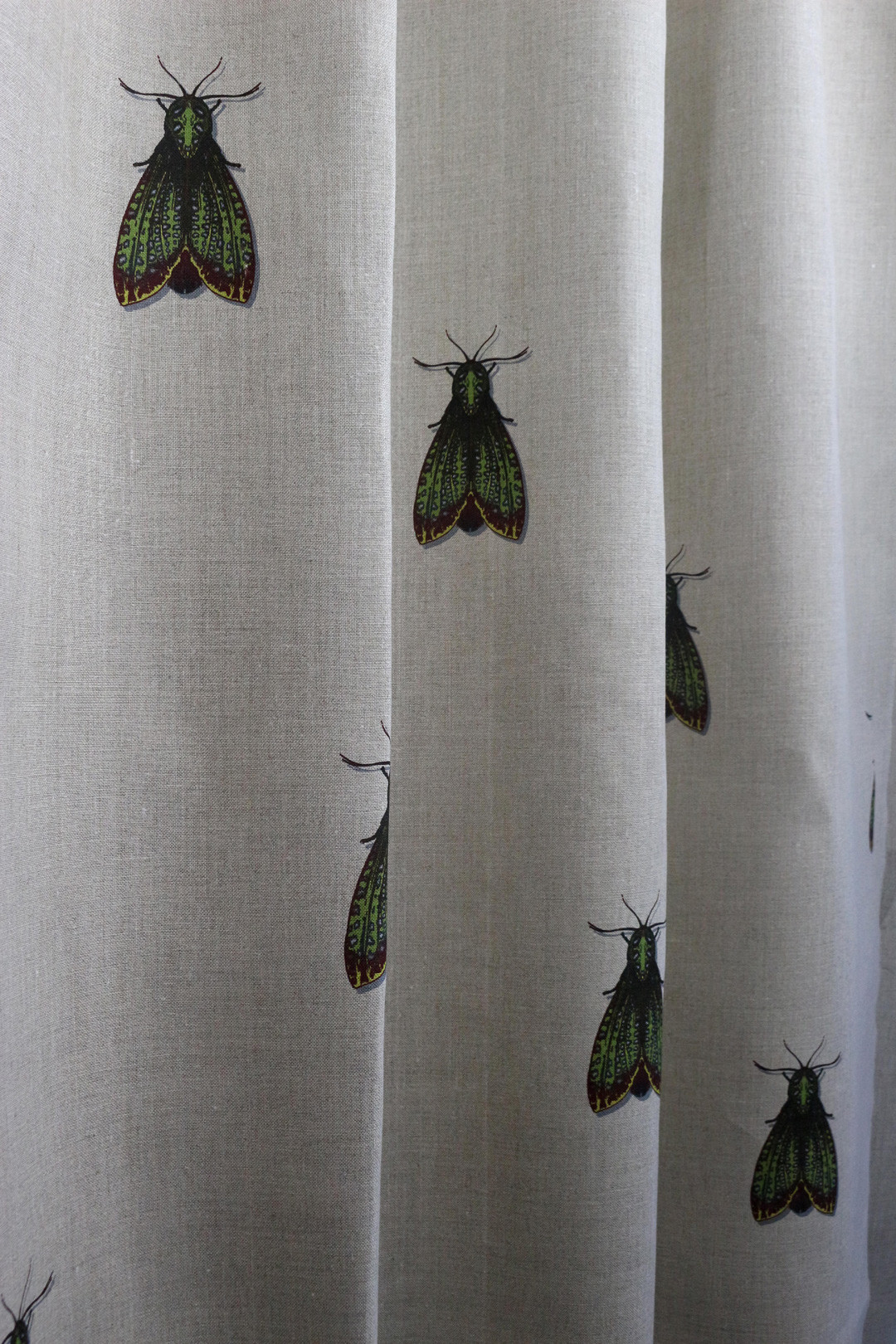 Petit Papillon De Nuit Fabric Timorous Beasties Petit Papillon De Nuit Fabric Timorous Beasties