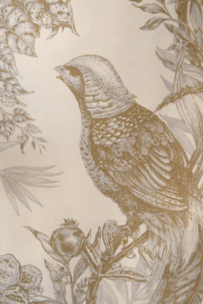Pheasant Wallpaper / image 3