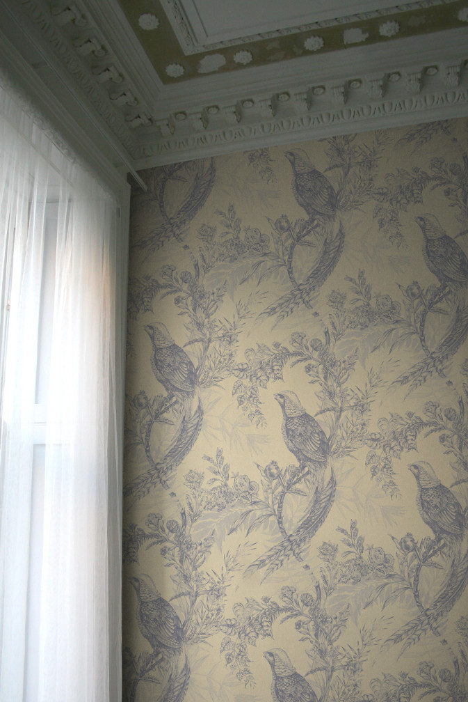 Pheasant Wallpaper / image 3