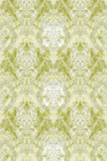 Colour Lime