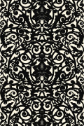 Colour Black on Ivory