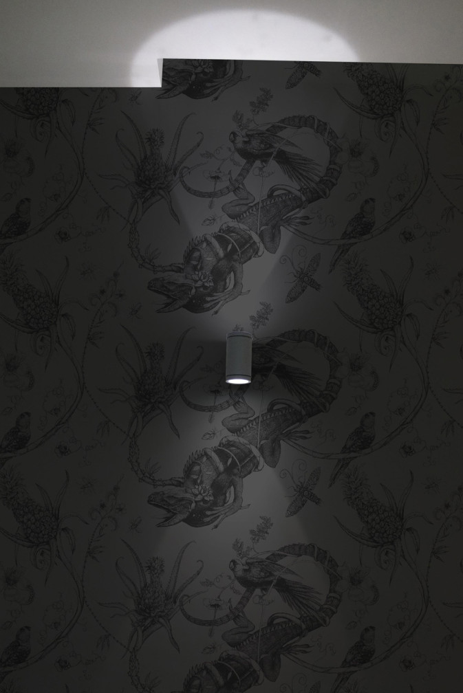 Iguana Superwide Wallpaper / image 3