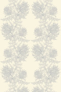 Colour Silver on Ivory