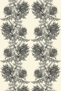 Colour Black on Ivory