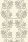 Colour Grey on Ivory