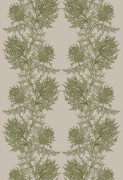 Colour Olive Green