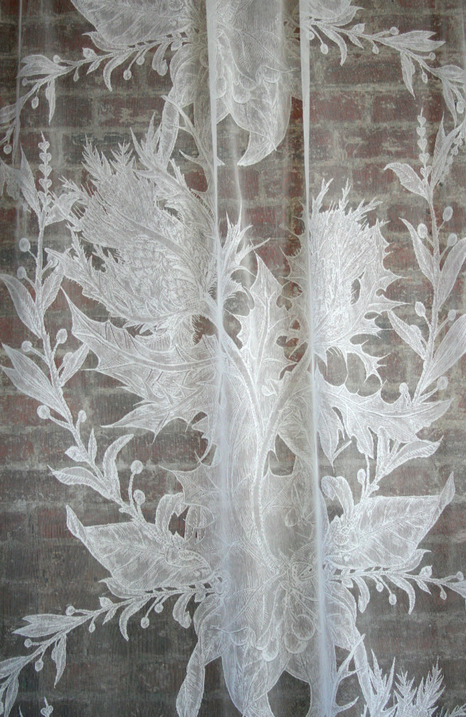 Thistle Lace / image 2