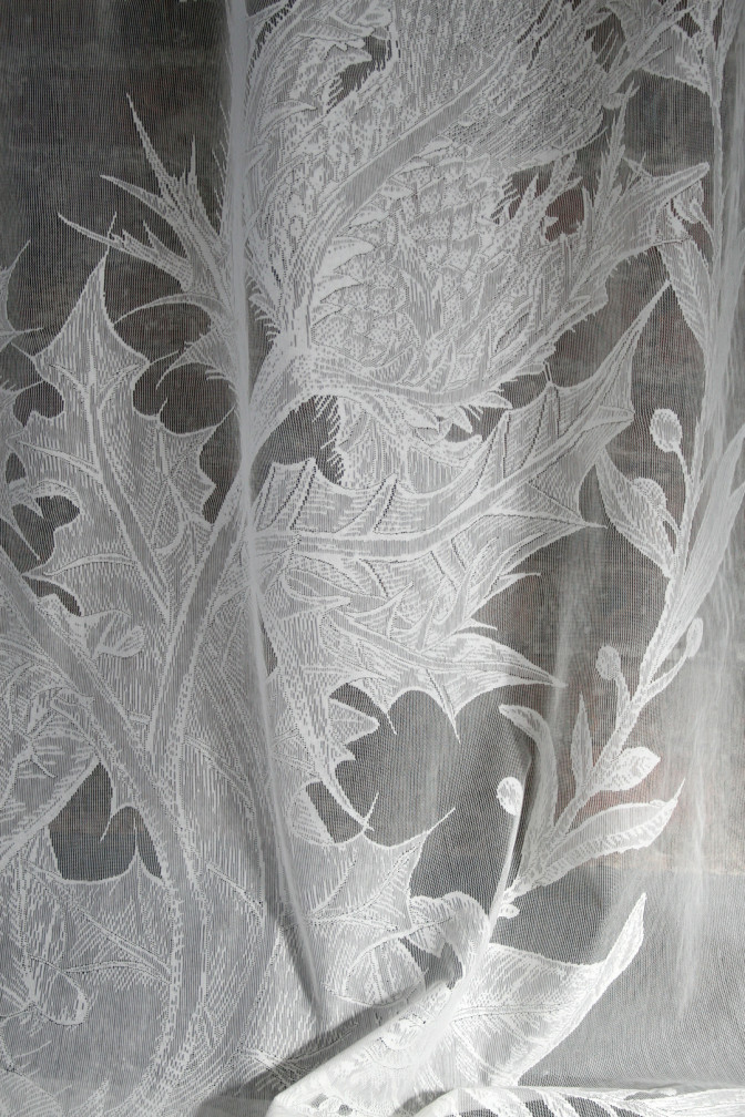 Thistle Lace / image 3