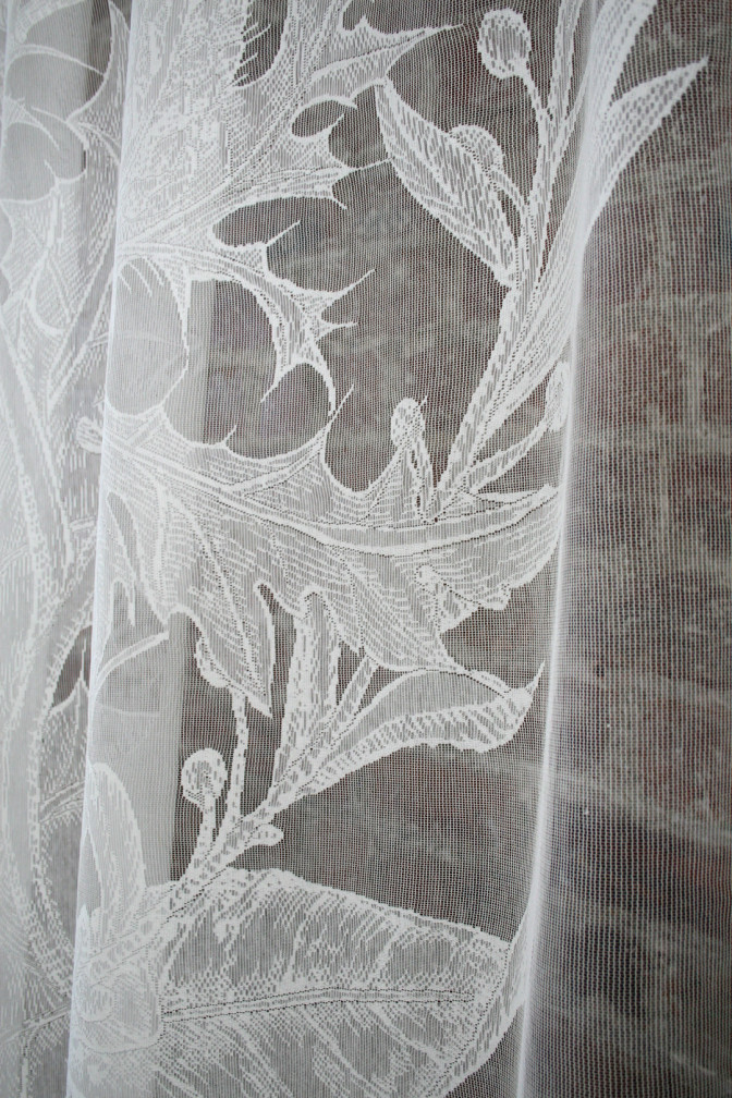 Thistle Lace / image 5