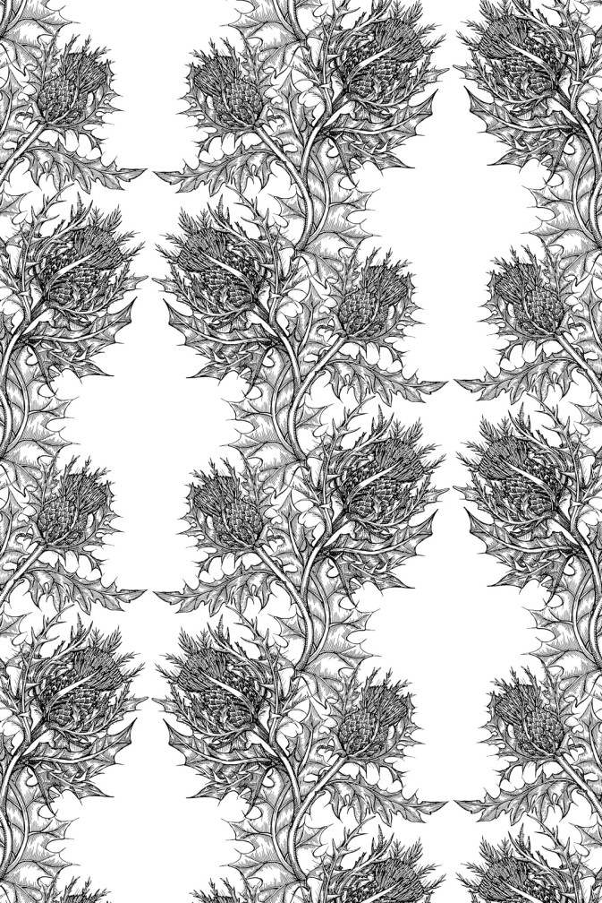 Thistle Wallpaper / image 1