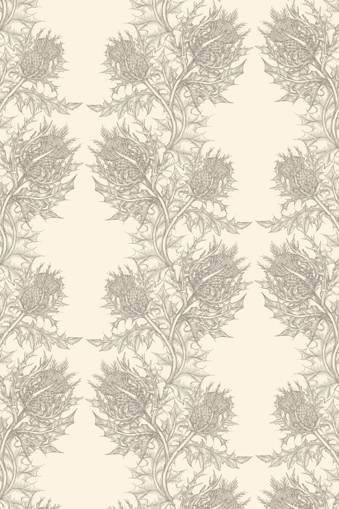 Thistle Wallpaper / image 1