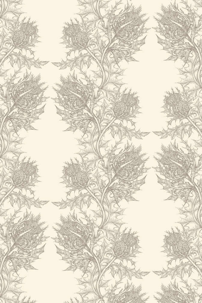 Thistle Wallpaper / image 1