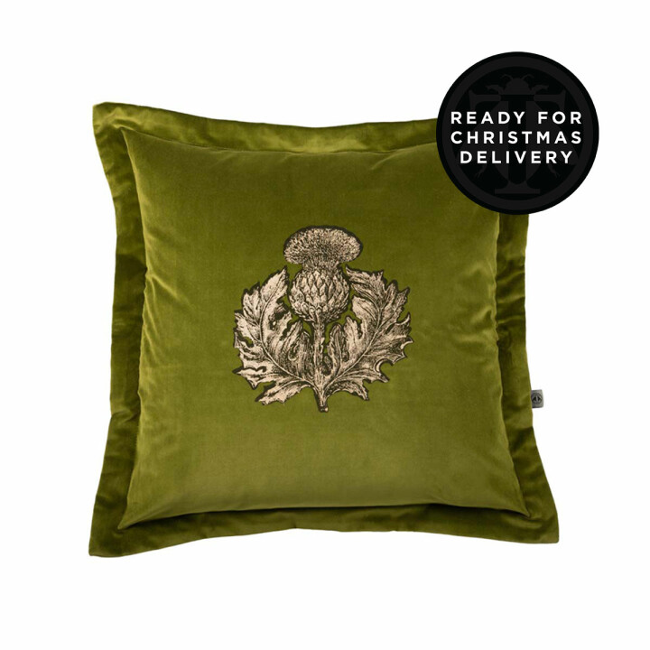 Thistle Velvet Cushion / image 1