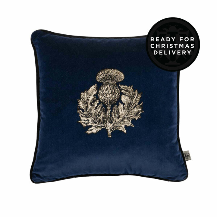 Small Thistle Velvet Cushion / image 1
