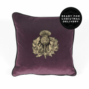 Colour Black & Pale Gold on Aubergine