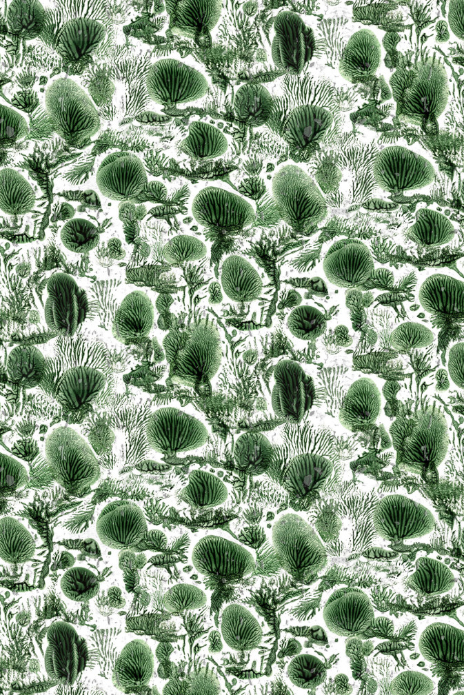 Coral Blotch Cork Wallpaper