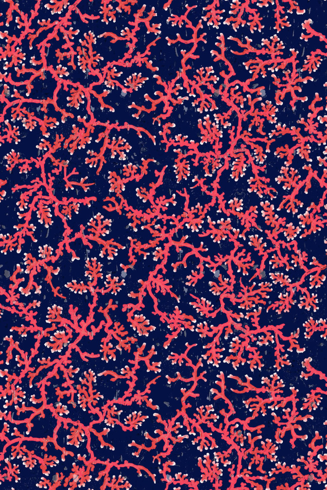 Coral Cork Wallpaper / image 1